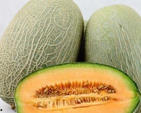 月经期间可以吃哈密瓜