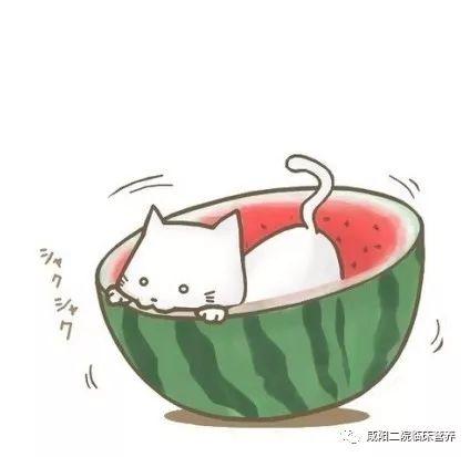 qq免费吃瓜 图片